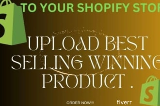 I will set up a pro shopify dropshipping store, shopify expert, winning product