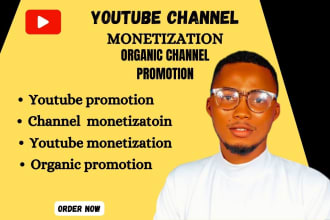 I will do organic promotion for youtube monetization