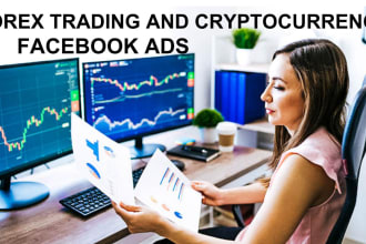I will run converting high forex and crypto facebook ads campaign