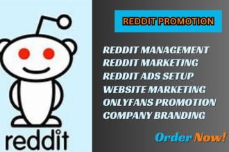 I will boost your business traffic with reddit promotion marketing, management, and ads