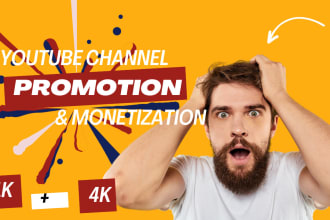 I will do USA youtube channel promotion for channel monetization organically
