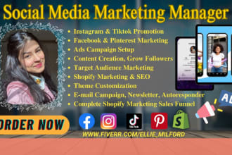 I will do tiktok promotion, content creation, instagram marketing, facebook ads setup
