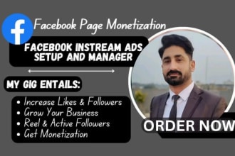 I will your facebook page monetization manager on instream ads professionaly