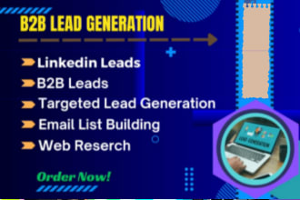 I will provide highly targeted b2b leads, linkedin leads, email list building