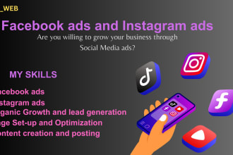 I will set up Instagram ads and facebook ads for lead generation