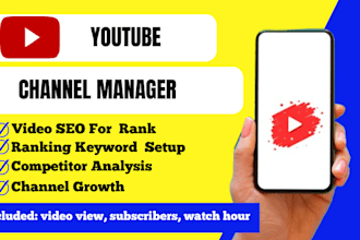I will do YouTube video SEO optimization for channel growth