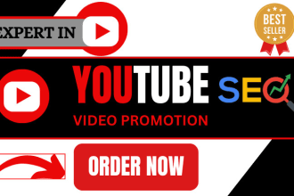 I will do organic YouTube channel promotion to grow subscribers, view