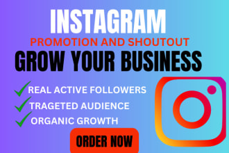 I will do organic Instagram promotion and shoutout