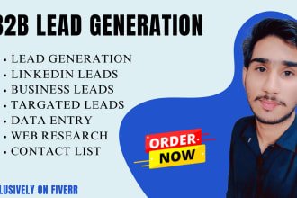 I will do data entry, b2b lead generation, list building, and prospect list