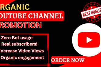 I will do organic youtube channel promotion, video promotion for channel monetization