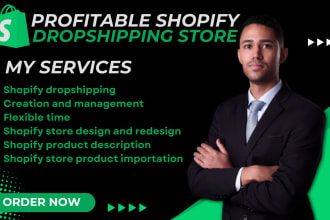 I will build or create a high converting dropshipping store shopify website design