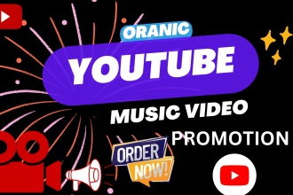 I will do youtube music video promotion, organic video promotion