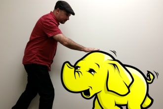 help in hadoop, spark and bigdata projects