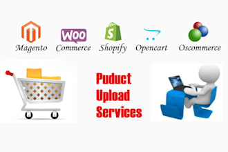 upload website content and products