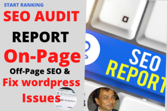 create SEO audit report, action plan, and fix wordpress error