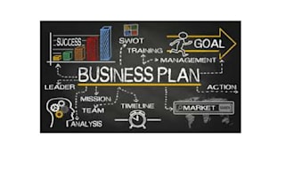 write a suitable business fesibility report