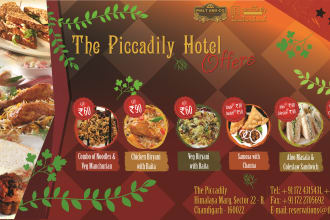 design graceful flyers, brochures and any graphic stationery