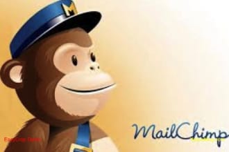 help you with most email platforms and deliverability issues