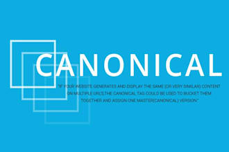 do canonical issues fixed for wordpress website