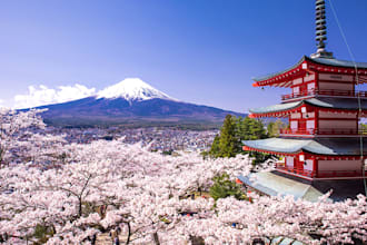 be your best business partner in japan
