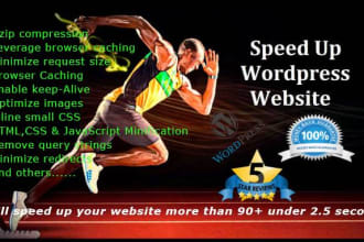 optimize and speed up your wordpress websites loading time