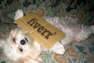 send you a photo of my dog with your logo or message