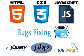 fix any bug in php, js, wordpress, laravel, codeigniter
