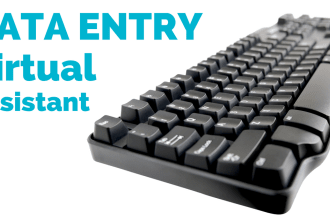 do web research data analysis excel formulas and data entry