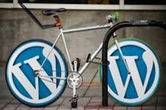 make your wordpress website with in very low cost