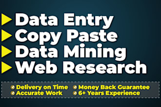 do excel data entry, data mining, data extraction and copy paste job