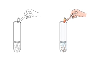 create children activity books