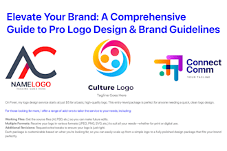 pro logo design and brand guidelines