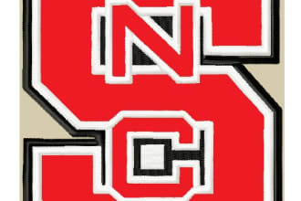 do applique embroidery digitizing into dst