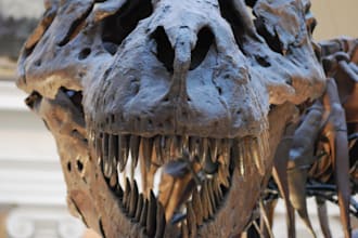 research issues relating to your dinosaur story or article