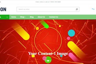 setup and design a complete shopify store