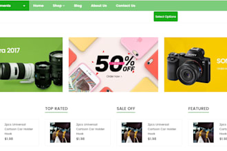 design a professional shopify website, shopify store
