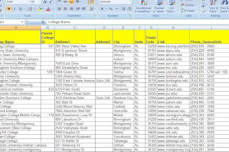 be your virtual assistant, web researcher, data entry expert
