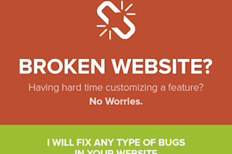resolve your bugs in your asp net mvc asp net core
