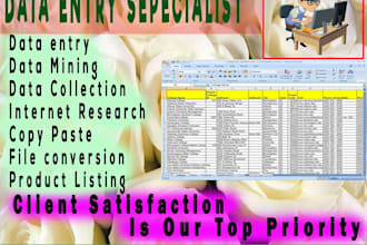 do excel data entry, excel data cleanup, remove duplicates