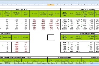 create professional excel spreadsheet and dashboards