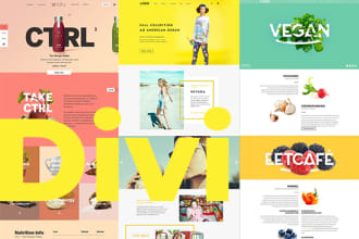 make a stunning wordpress website with divi