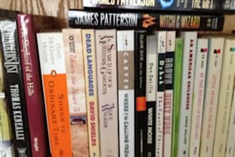 feature you as an author on my website