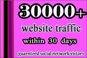 send super targeted,usa,traffic, website,unique,visitors