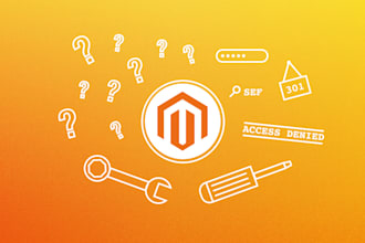 provide magento technical issue resolution, bug fixes, customization services