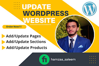 edit or update wordpress website