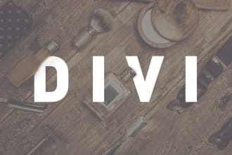 customize your website using divi,avada,be theme