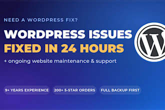 fix wordpress issues and do website maintenance