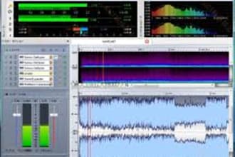 edit Audio files for you
