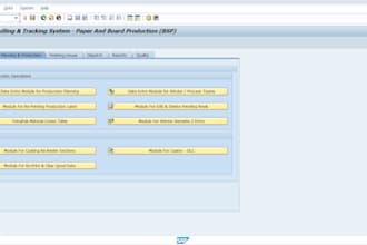 do sap abap development and provide sap consultation