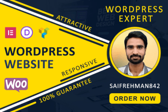 create a professional wordpress website